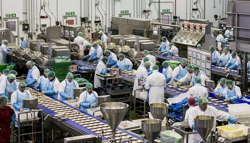 攜手佛山專業(yè)污水處理廠家，為食品廠定制高效化污水凈化工程方案，協(xié)同霧炮車構(gòu)建全方位環(huán)保屏障